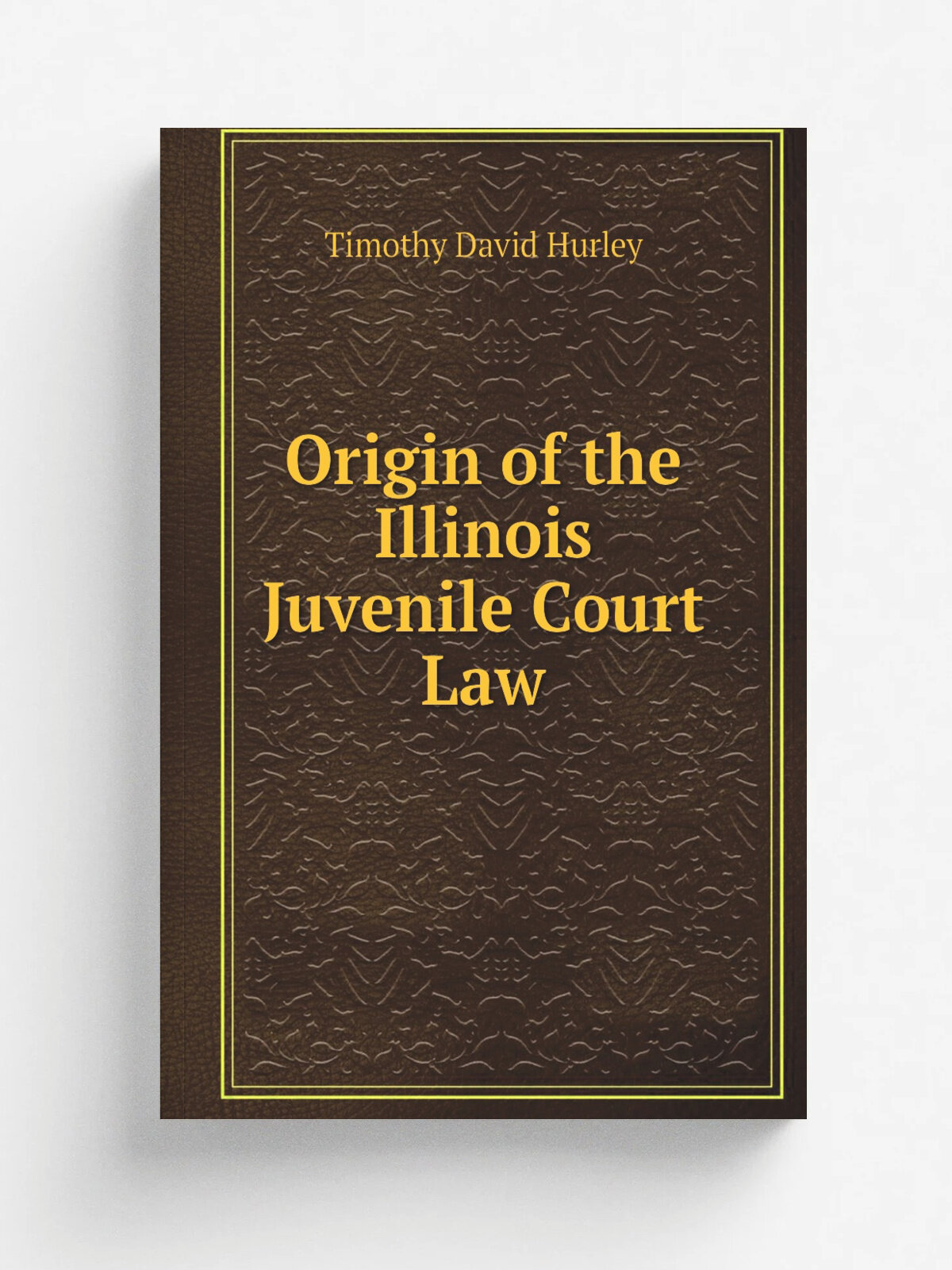 Origin of the Illinois Juvenile Court Law | Timothy David Hurley | Репринт