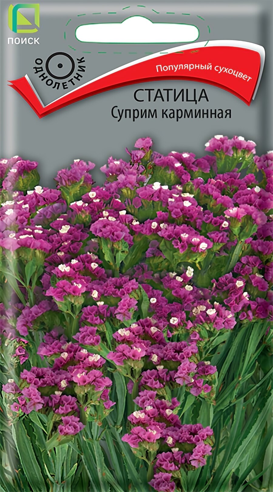 Семена статицы выемчатой Суприм карминная, 0,15 г, Поиск, однолетник, высота до 75 см, посев на рассаду в апреле
