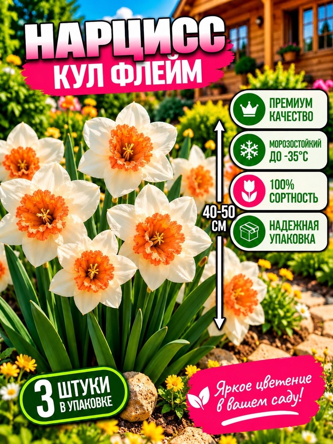 Луковицы нарцисса "Кул Флейм" 3шт.