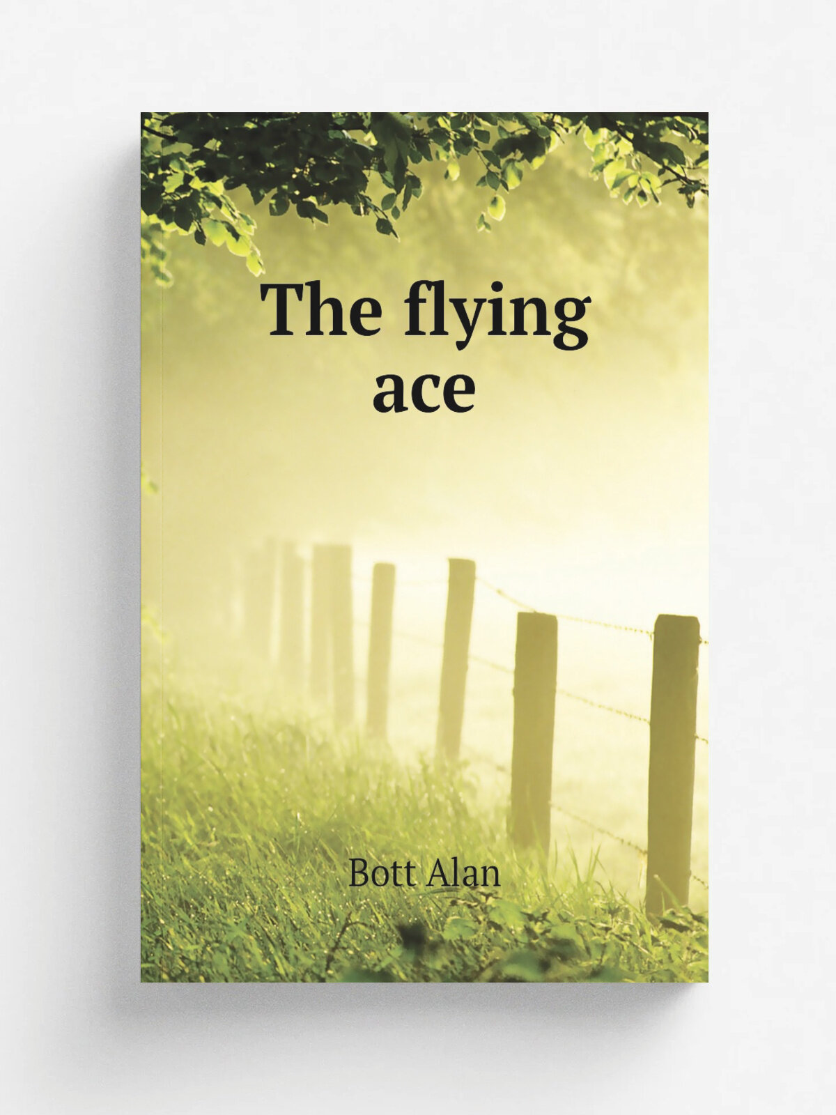 The flying ace | Bott Alan | Репринт