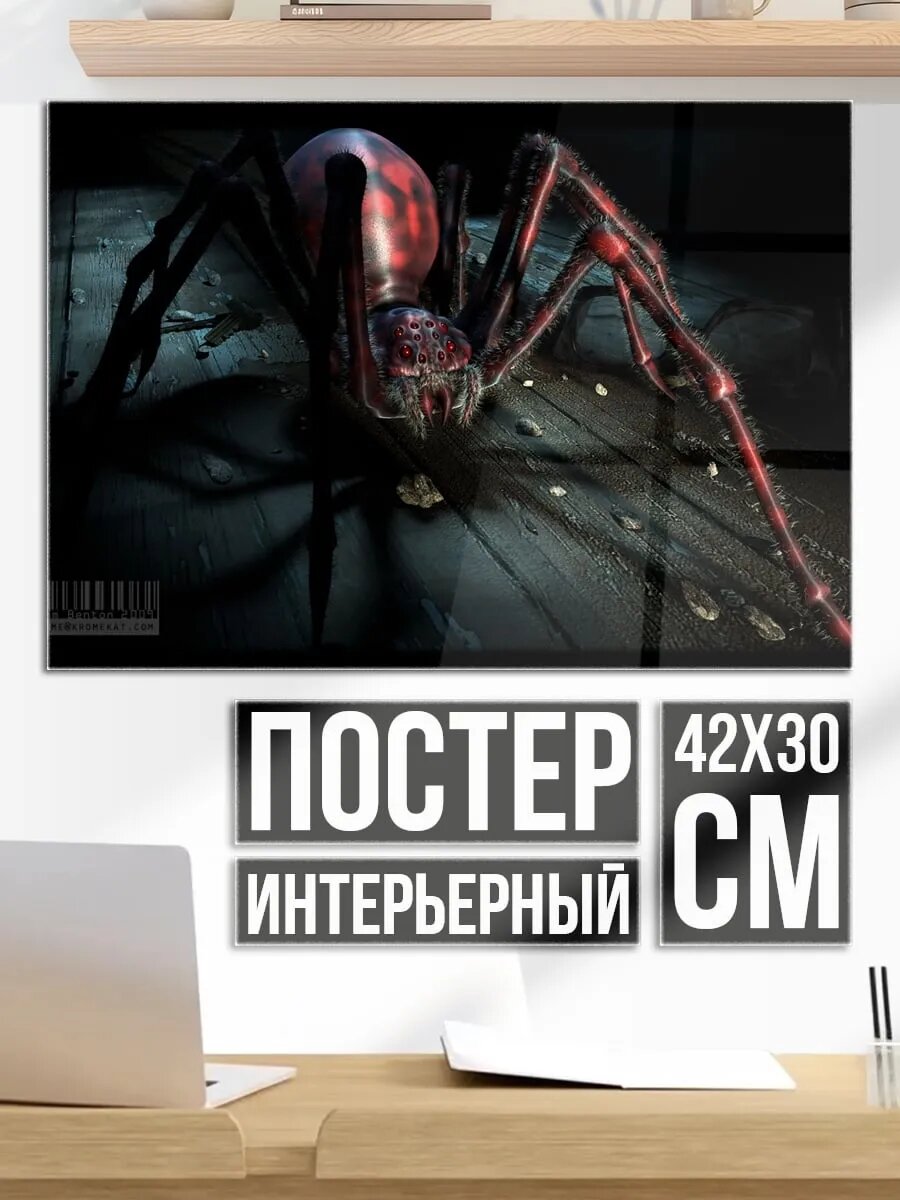 Плакат постер Гигантский паук