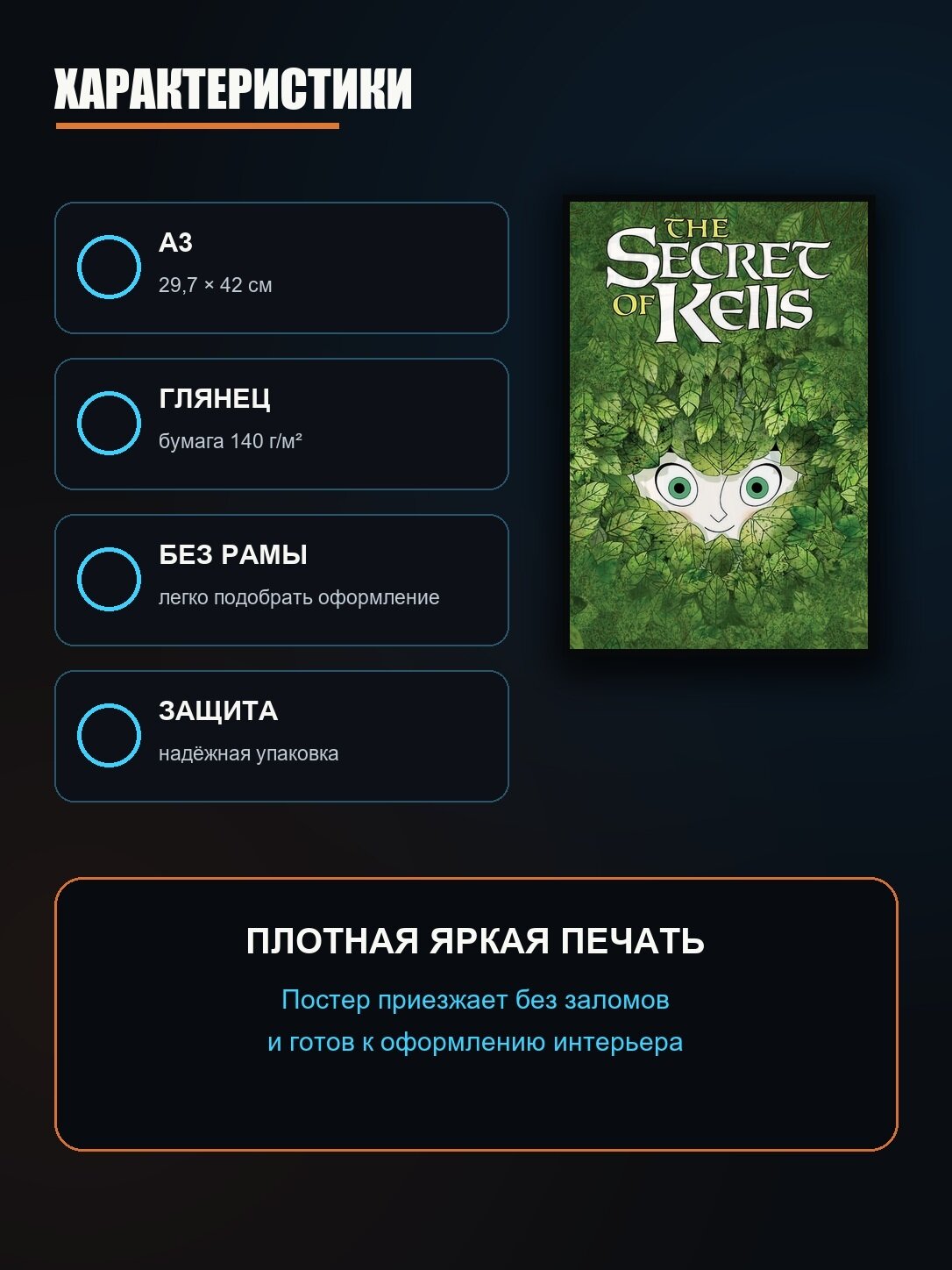 Постер Тайна Келлс — фото 1
