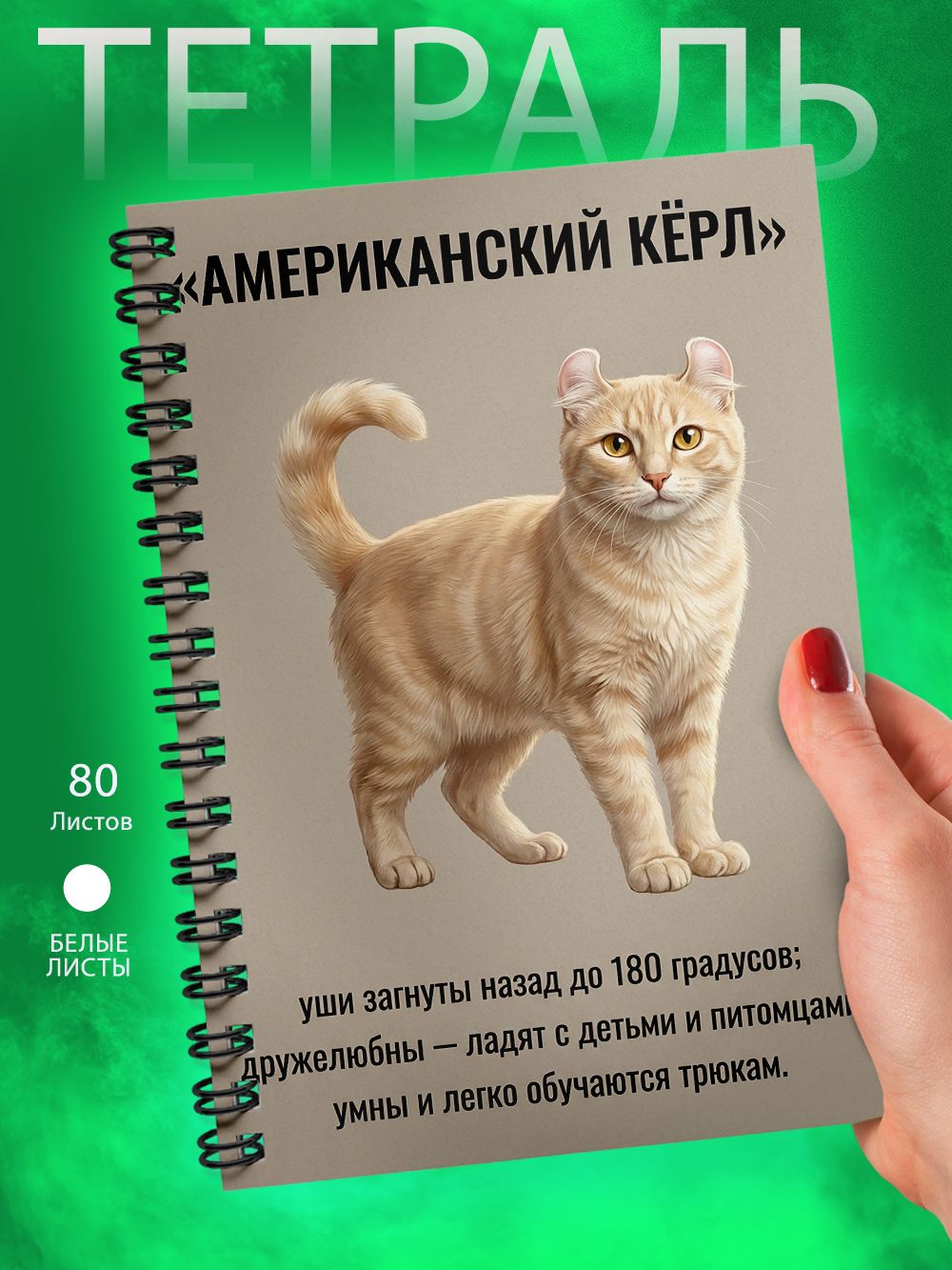 Тетрадь - А5 - Кошка - Американский кёрл