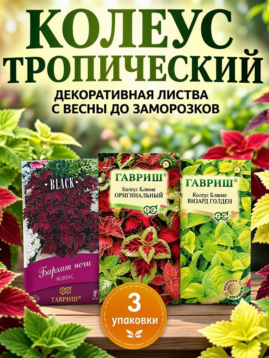 Семена колеуса многолетнего 3 пакета
