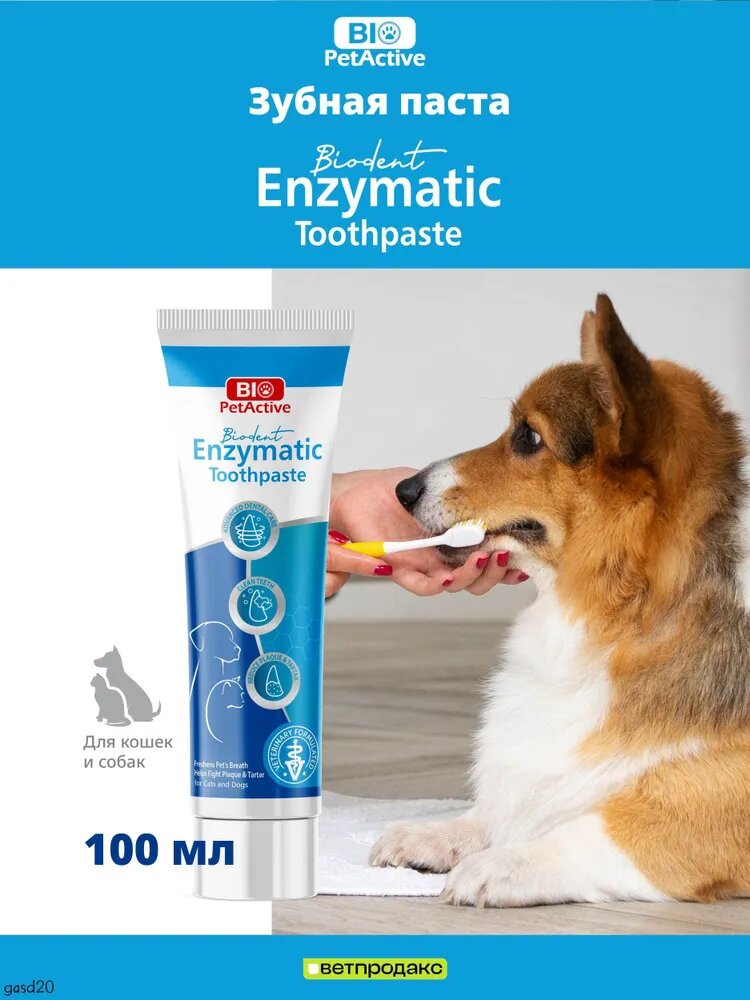 Энзимная зубная паста Biodent Enzymatic для кошек и собак, 100 мл
