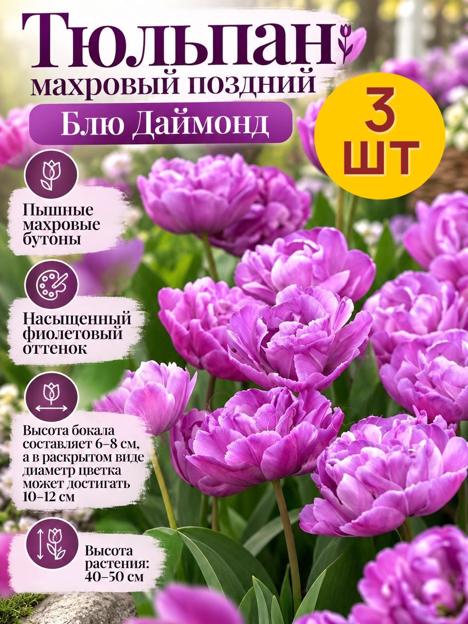 Луковицы/ Тюльпан махровый поздний БЛЮ даймонд/ 3шт