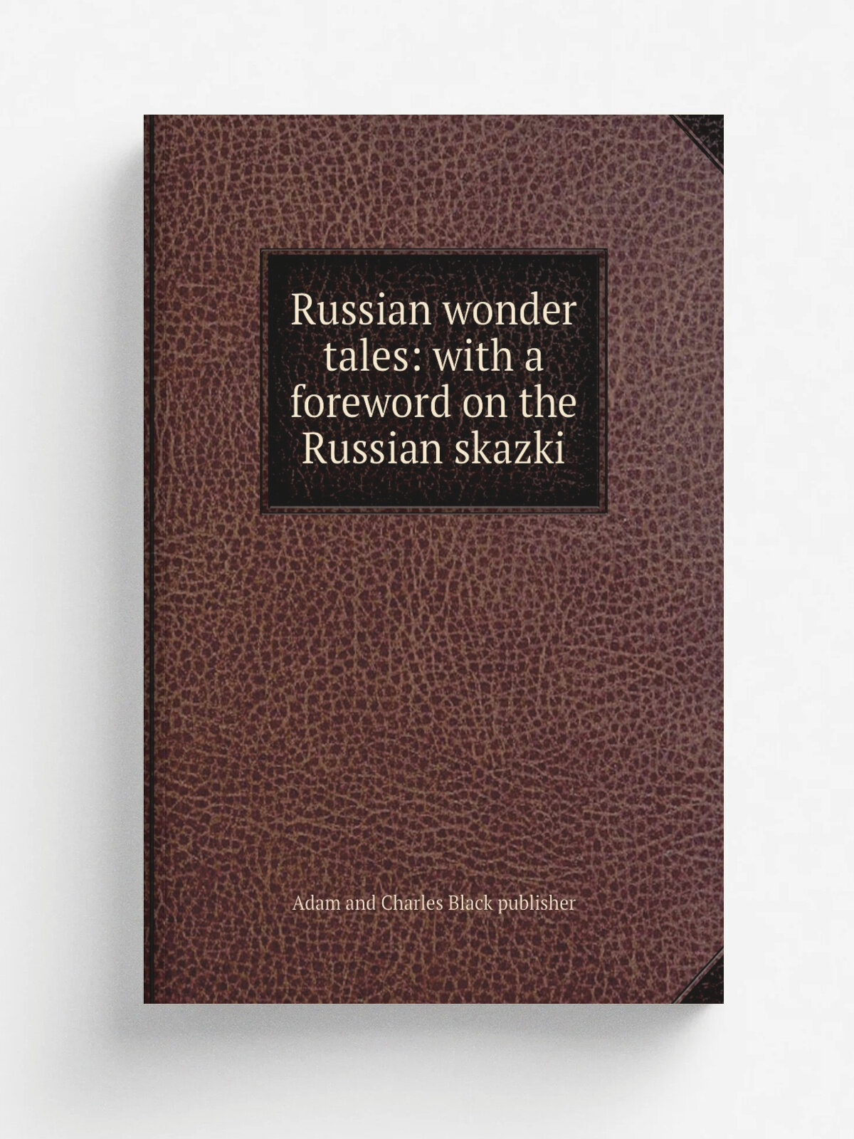 Russian wonder tales: with a foreword on the Russian skazki