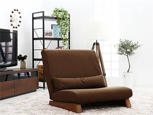 Одноместный диван-кровать Dark Brown Color