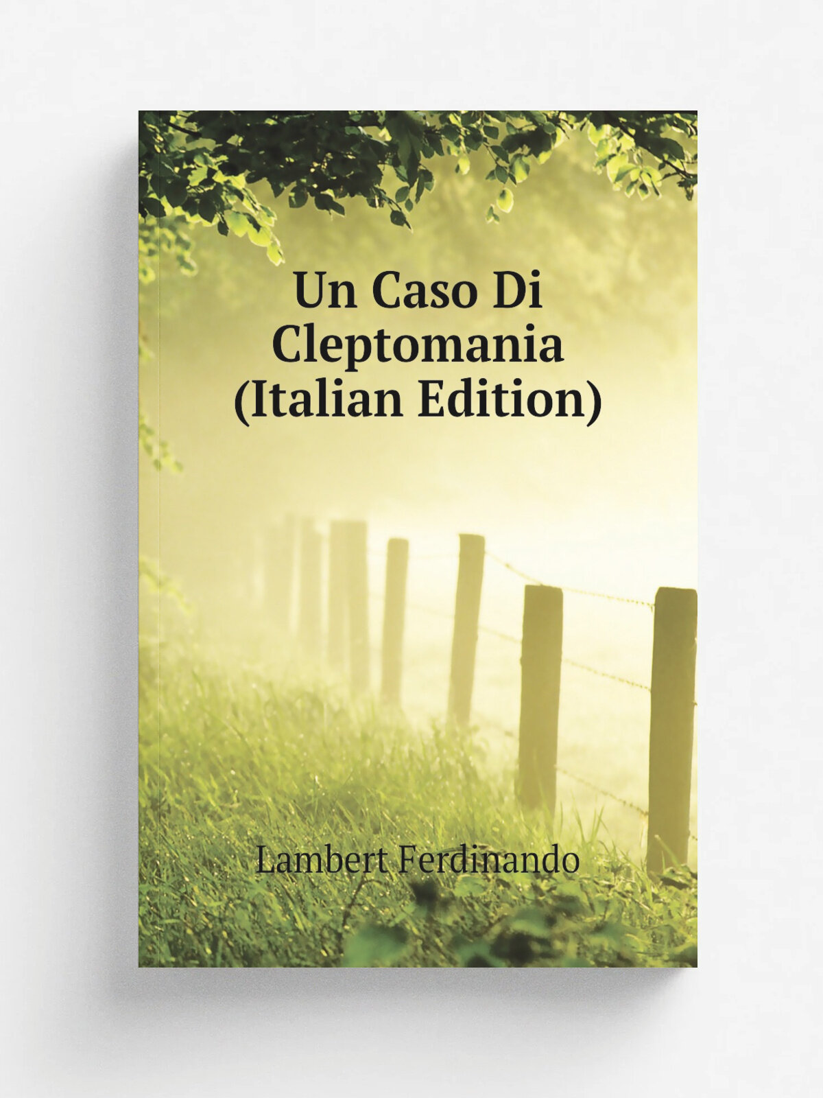 Un Caso Di Cleptomania (Italian Edition) | Lambert Ferdinando | Репринт