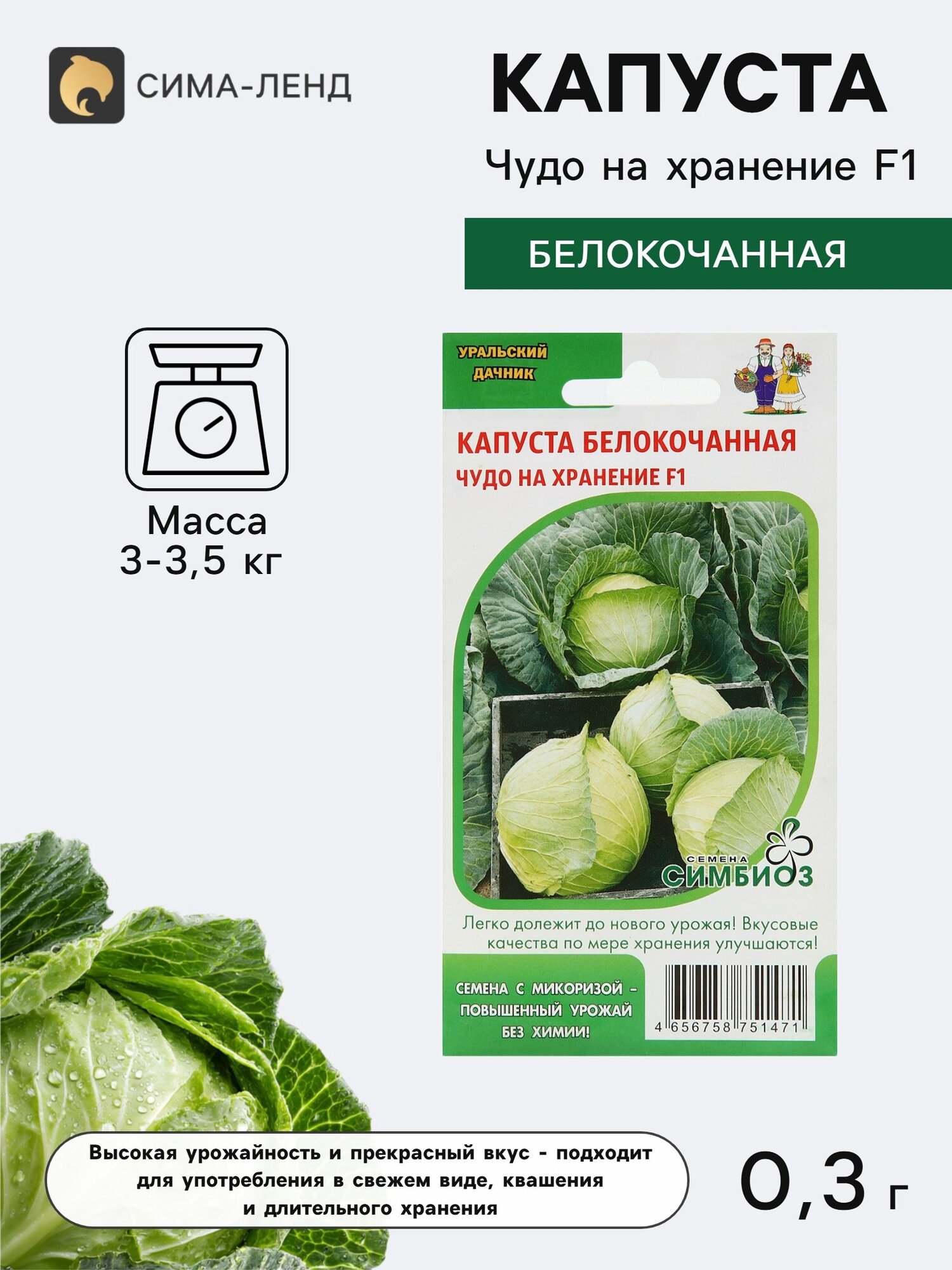 Семена Капуста белокочанная Чудо на хранение. 4 упаковки