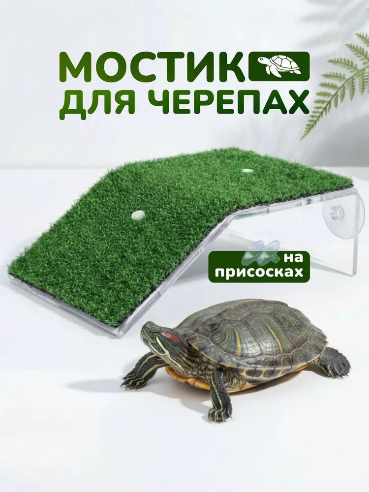 Мостик для черепах на присосках 80x95 мм + 55 мм склон