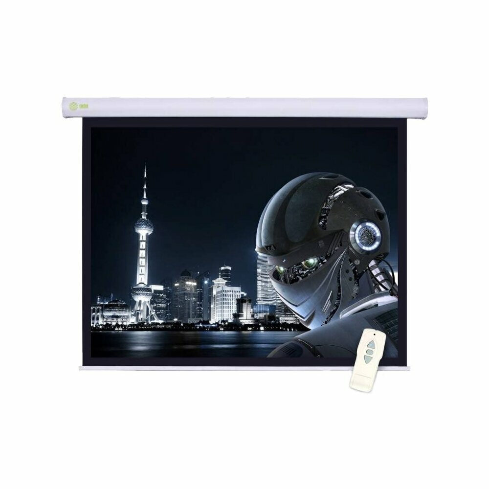 Экран для проектора Cactus Motoscreen CS-PSM-124x221