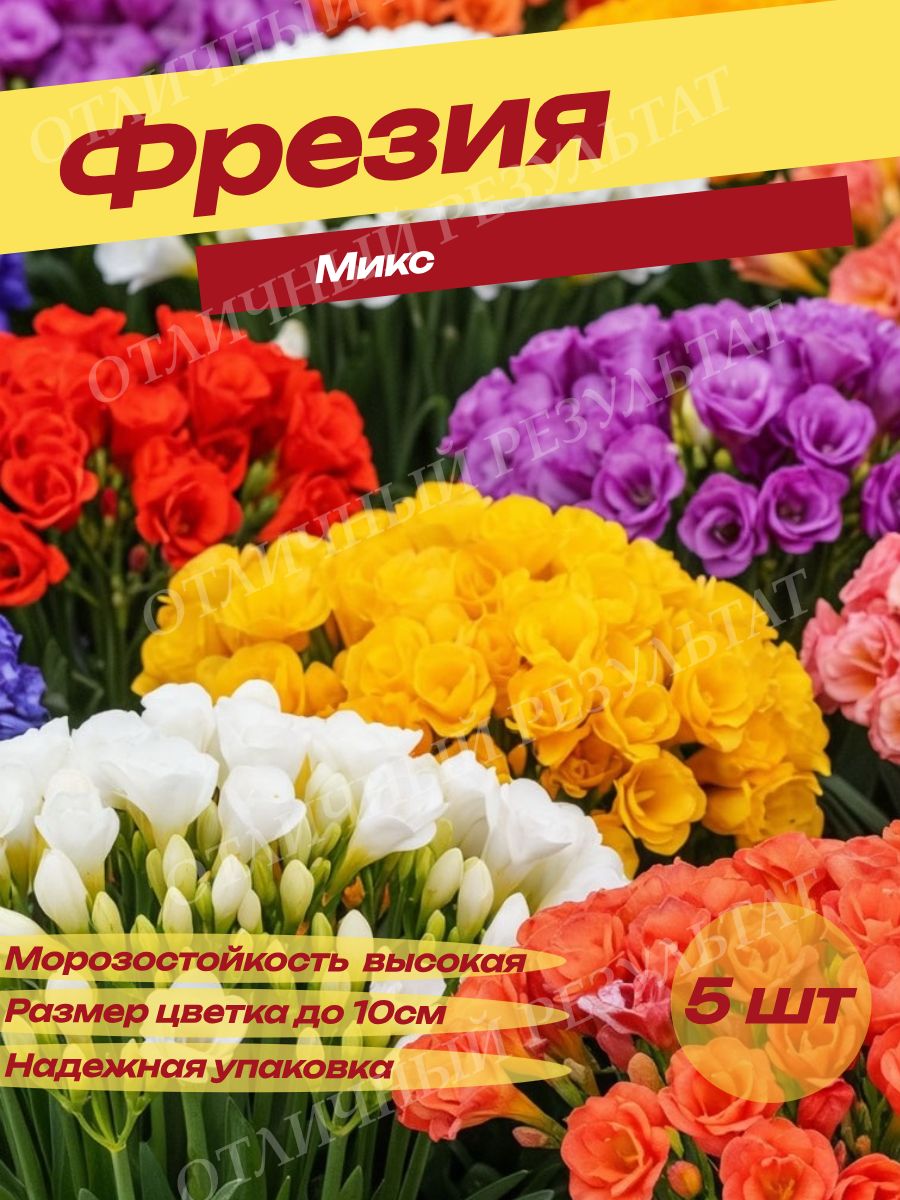 Луковицы Фрезии Микс