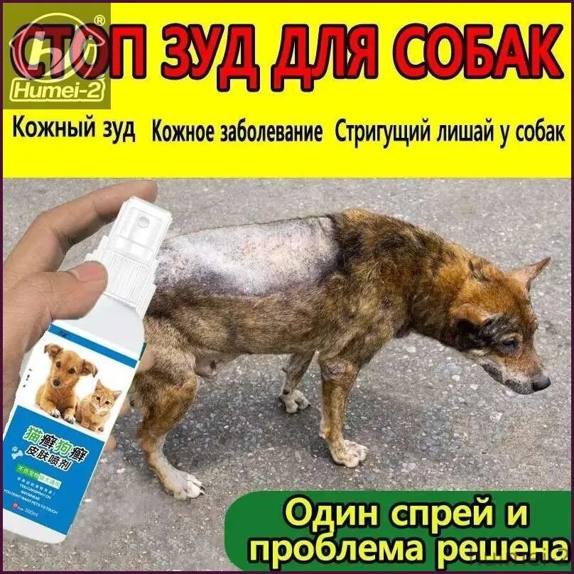 Спрей против зуда и шелушения у собак кошек