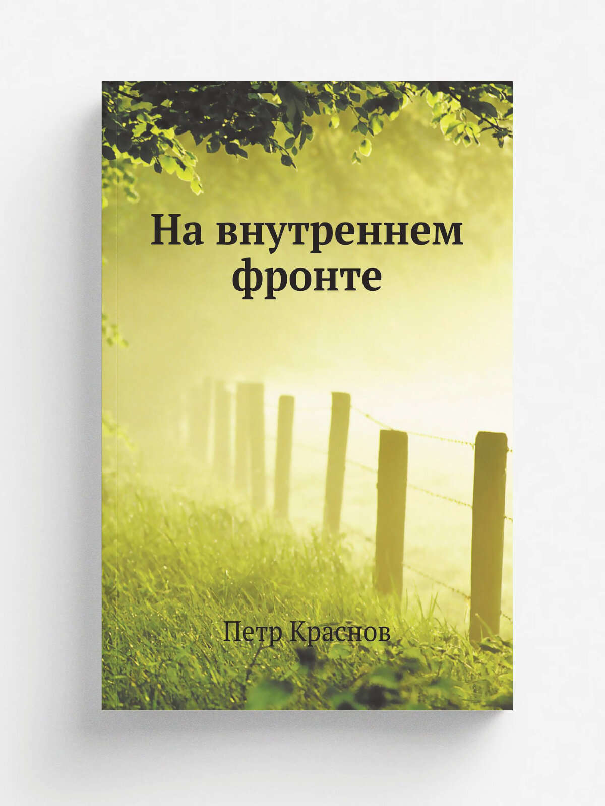 На внутреннем фронте | П. Н. Краснов | Нобель Пресс, 2011