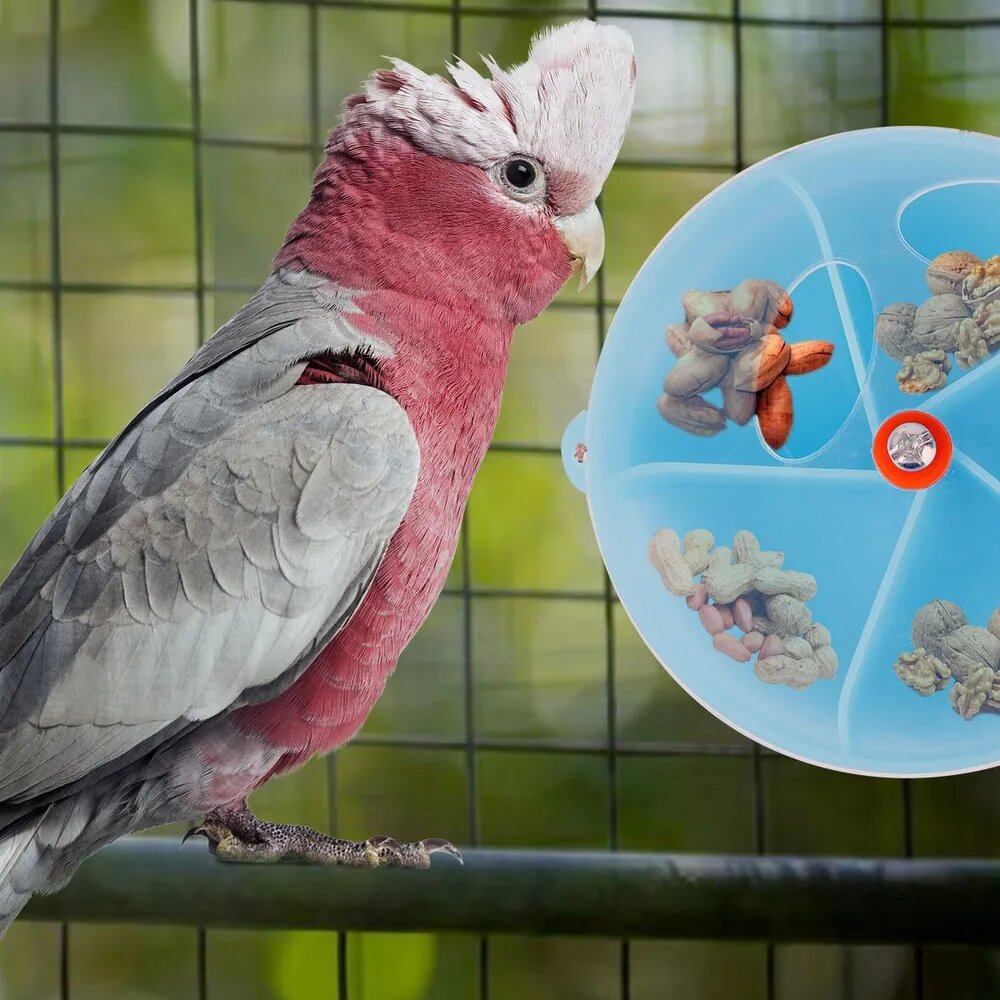 Игрушка-кормушка для попугая синего цвета в виде колеса для развивающих игр
