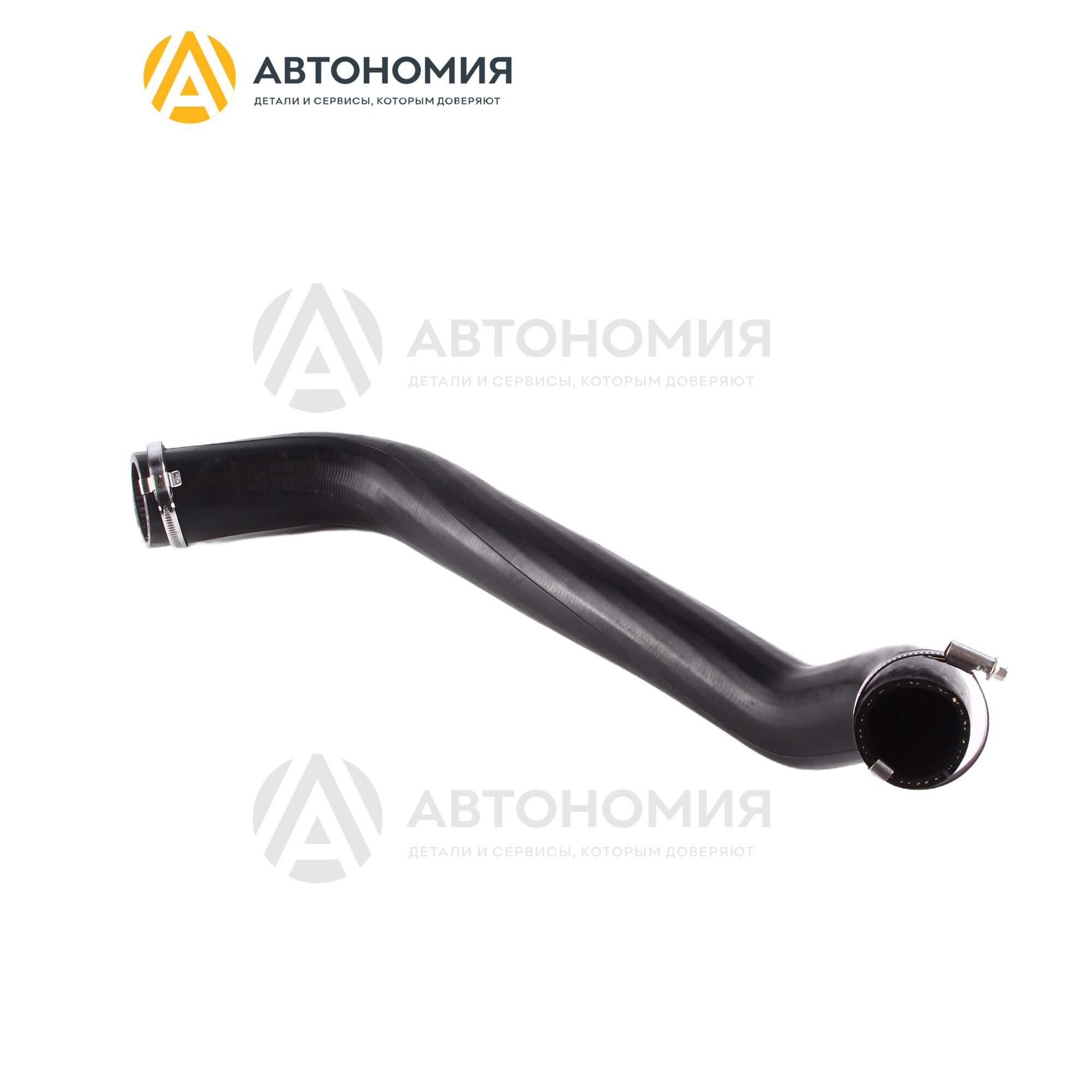 Патрубок интеркулера Transit 07- Ford 1503737