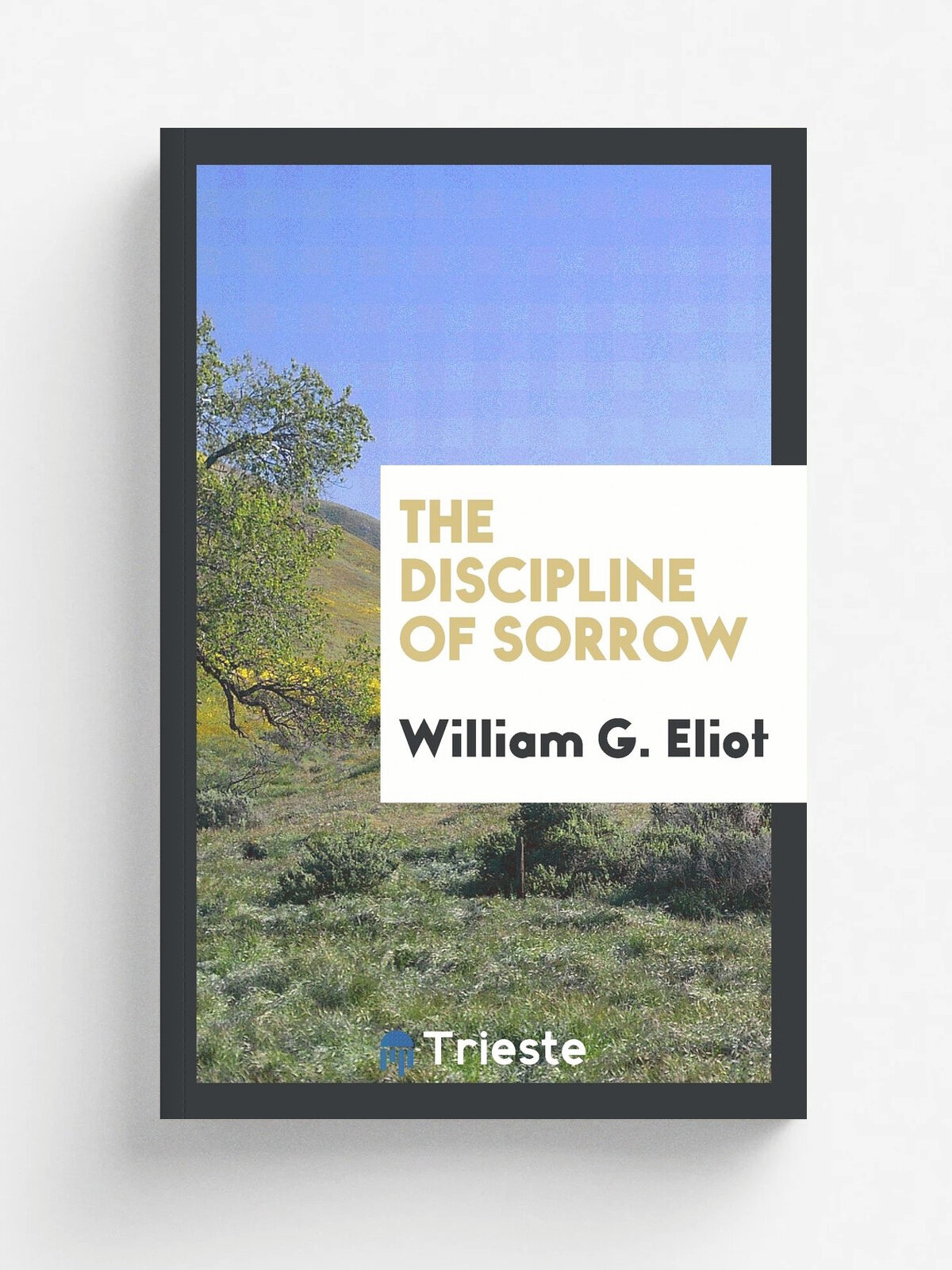 The Discipline of Sorrow
