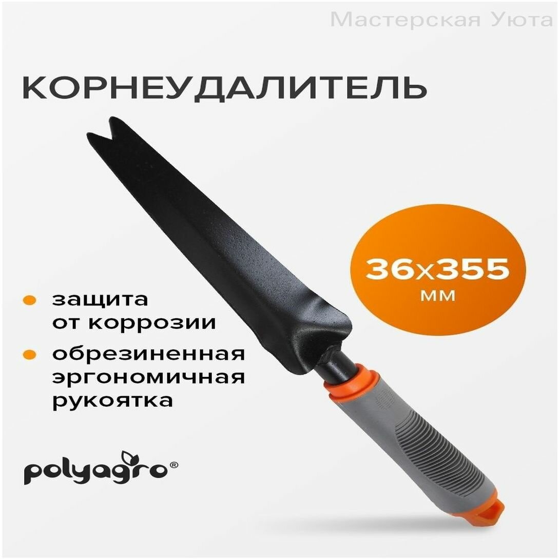 Корнеудалитель, рукоятьСталь, 5 см, Мини-инструменты