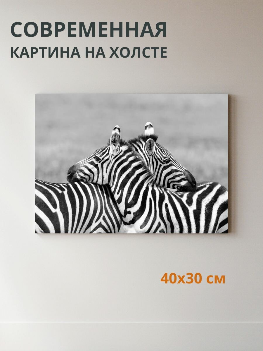 Картина на холсте Зебры 40x30 см