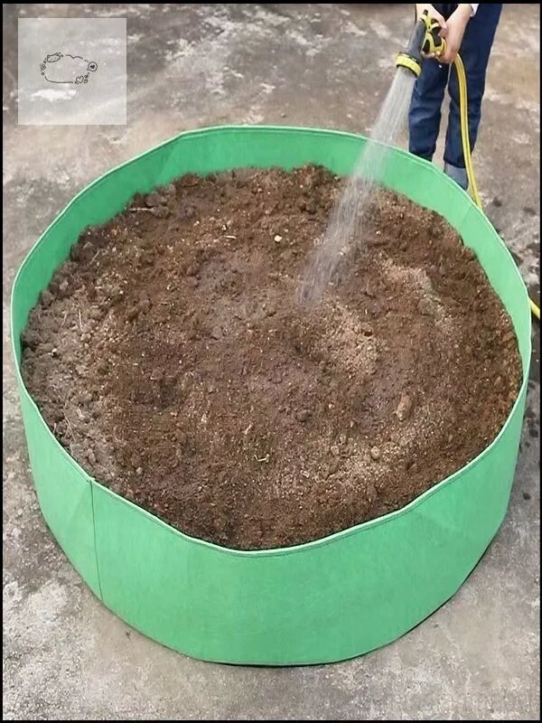 Клумба — фото 1