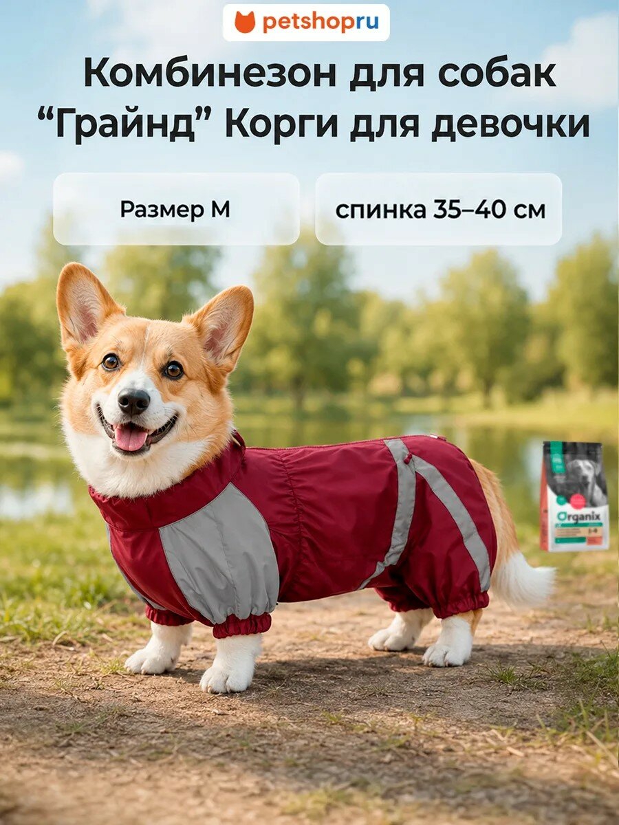 Tappi одежда Комбинезон "Грайнд" на девочку породы Корги, без подкладки, р-р M