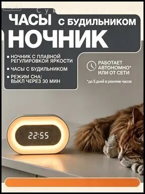 Ночник светильник настольный на аккумуляторе с часами и будильником, овальный