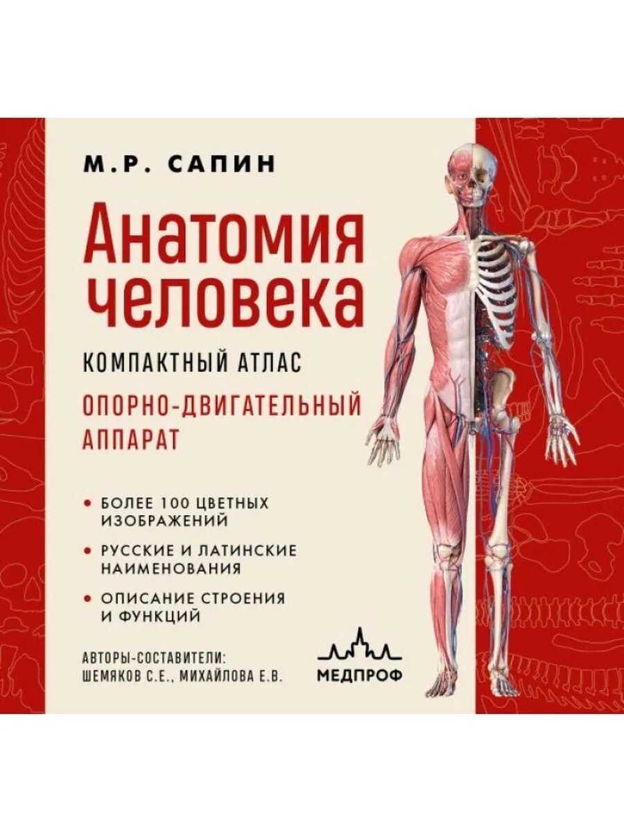 Анатомия человека. Компактный атлас. ОД аппарат