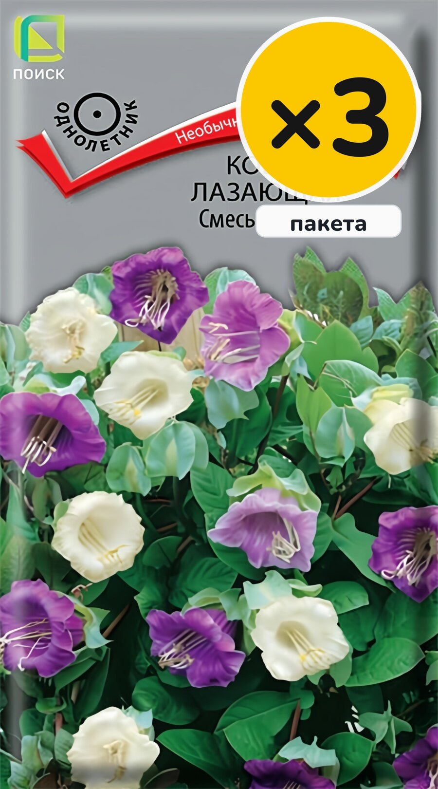 Семена кобеи лазающой Смесь окрасок, 5 шт, 3 пакета, Поиск, однолетник, высота до 300 см