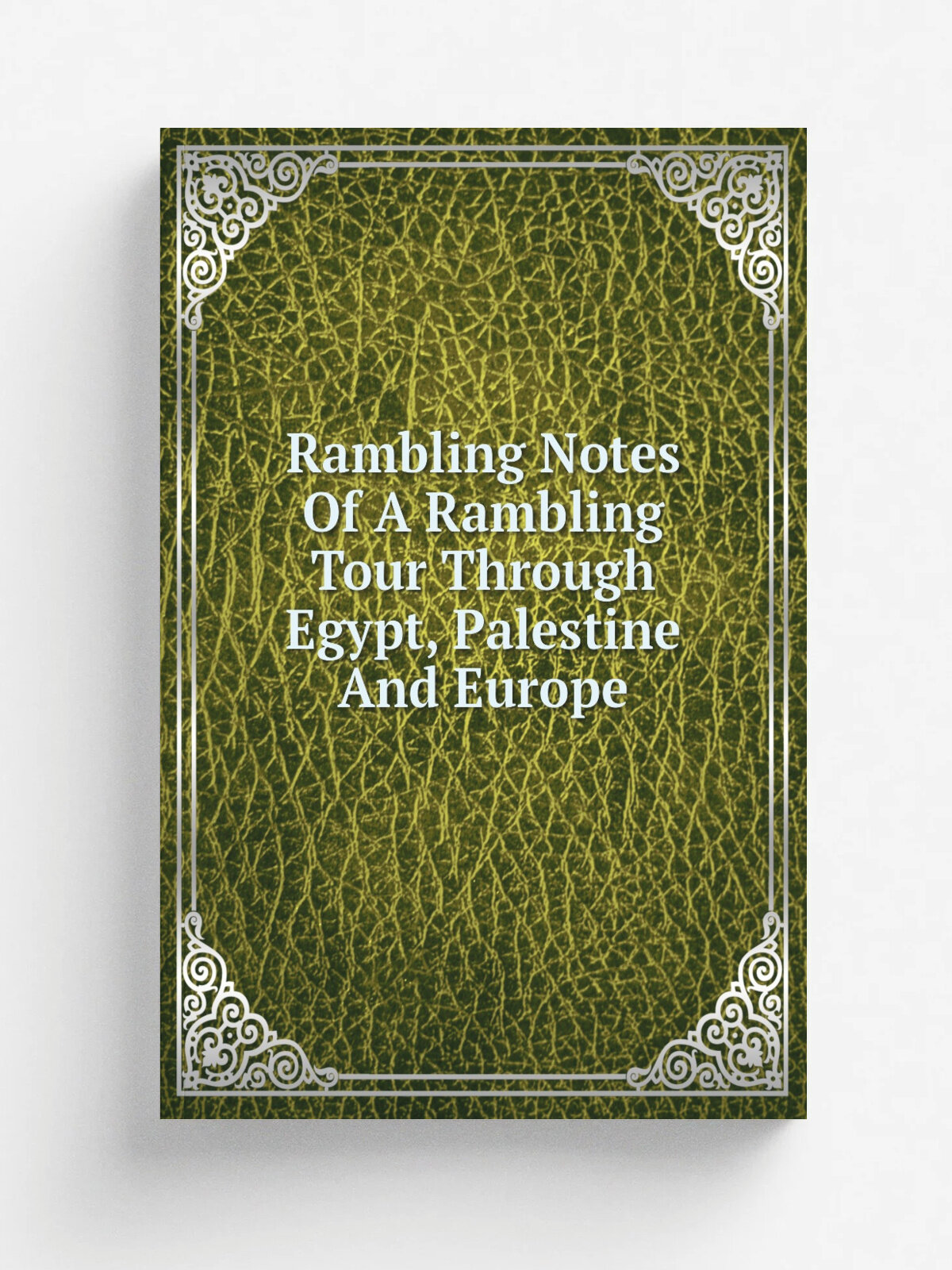 Rambling Notes Of A Rambling Tour Through Egypt, Palestine And Europe