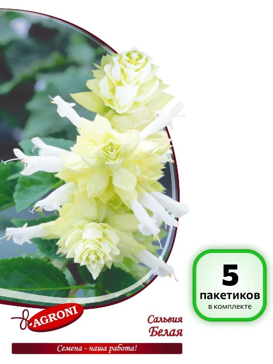 (5 шт.) - Семена Сальвия белая (0,1г)