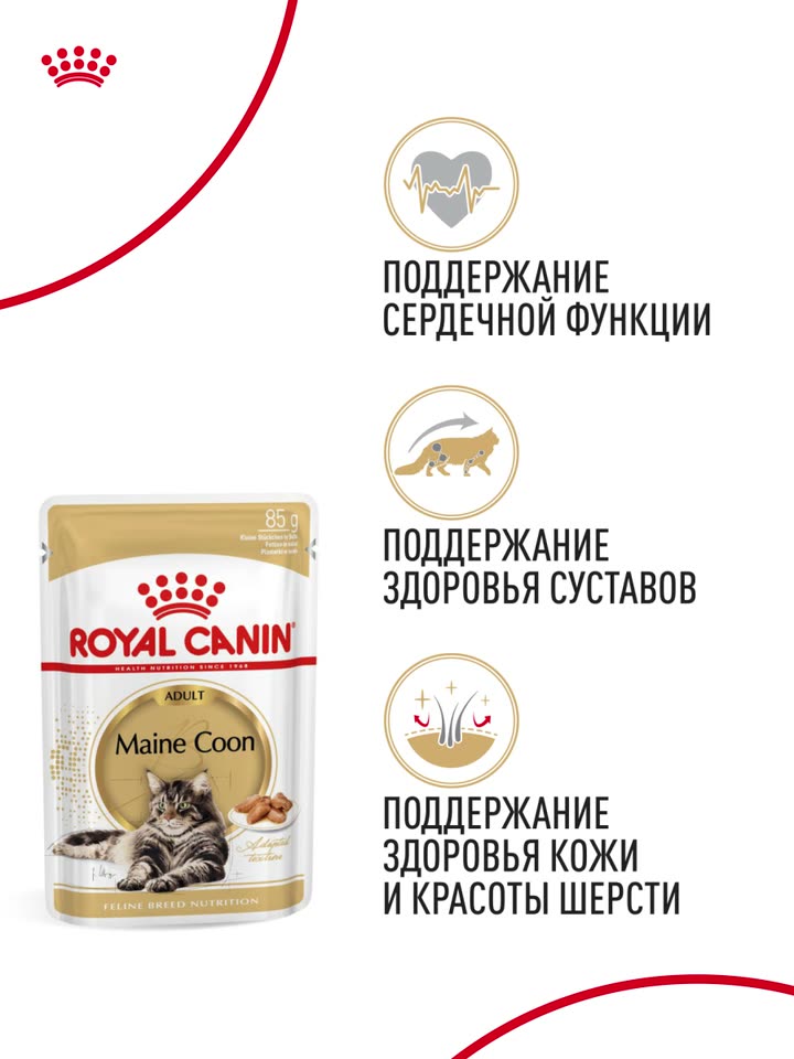 Влажный корм для кошек Royal Canin Adult для породы мейн кун кусочки в соусе, 28 шт по 85 г — фото 13