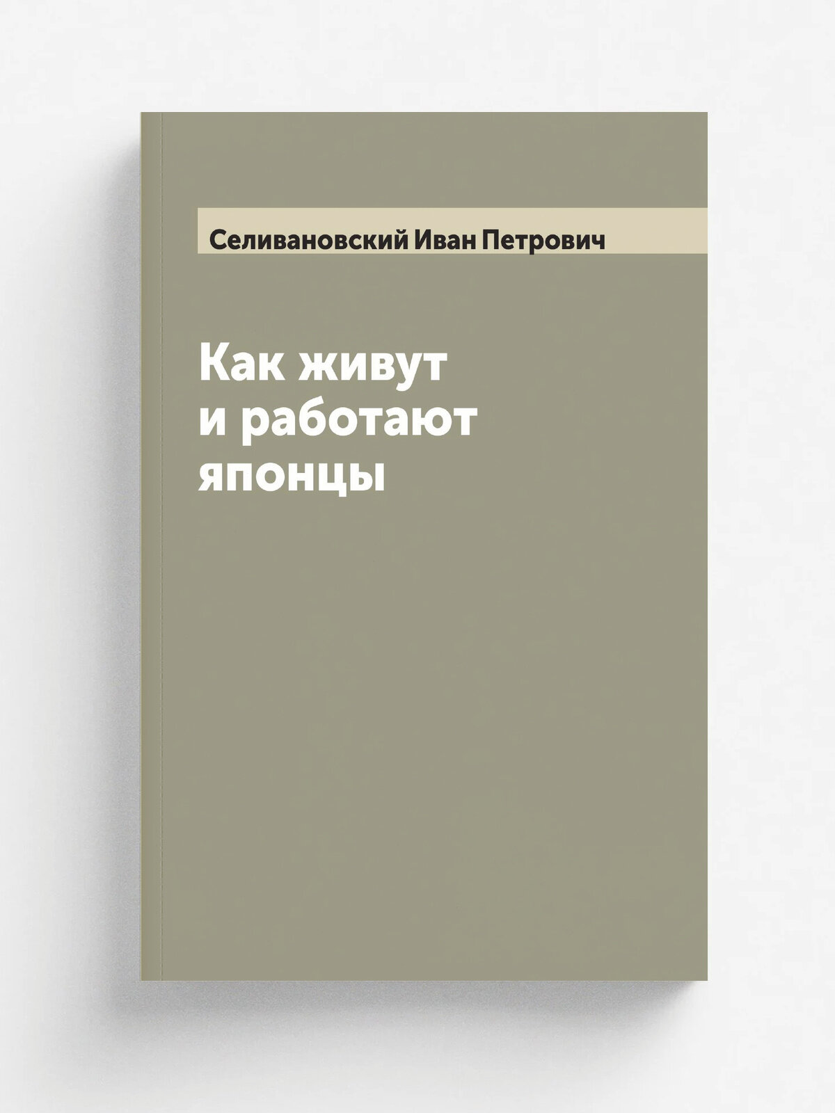 Как живут и работают японцы