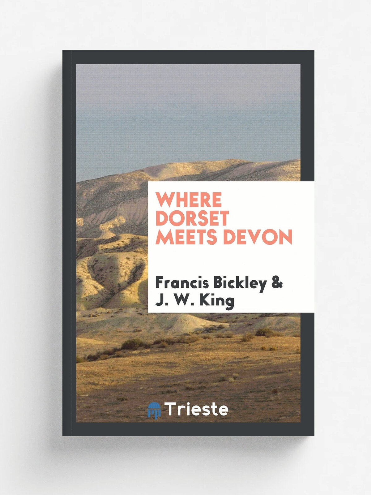 Where Dorset meets Devon