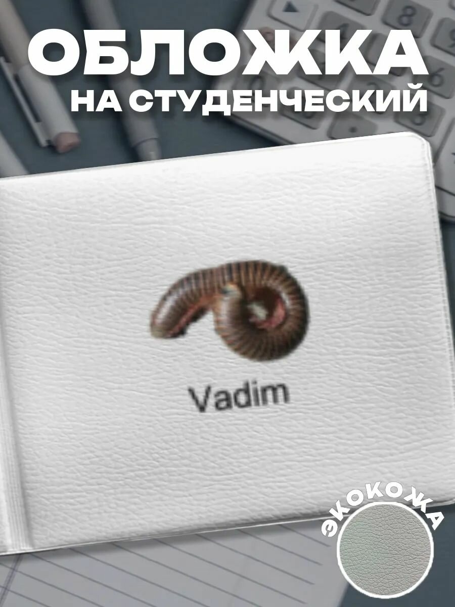 Обложка для студенческого билета