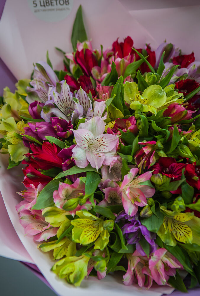 Красивый букет из альстромерий 25 шт микс, букет цветов на годовщину, букет живых цветов — фото 1