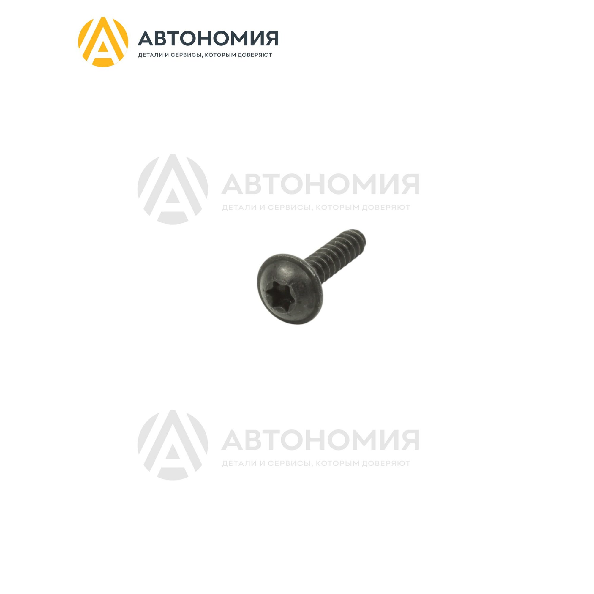 Саморез ST4,2 Mercedes-Benz N 000000 000523