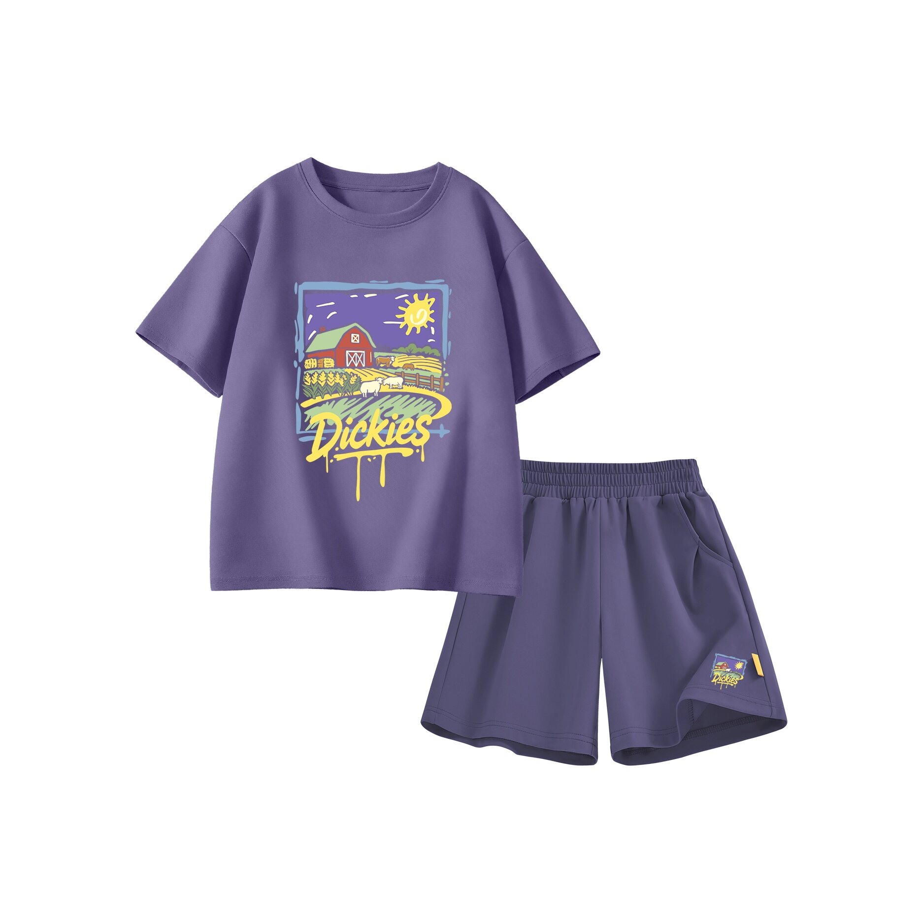 Комплект одежды Dickies