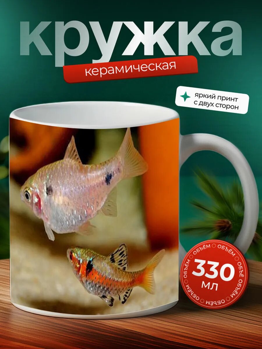 Кружка Барбус рыбка 19,
