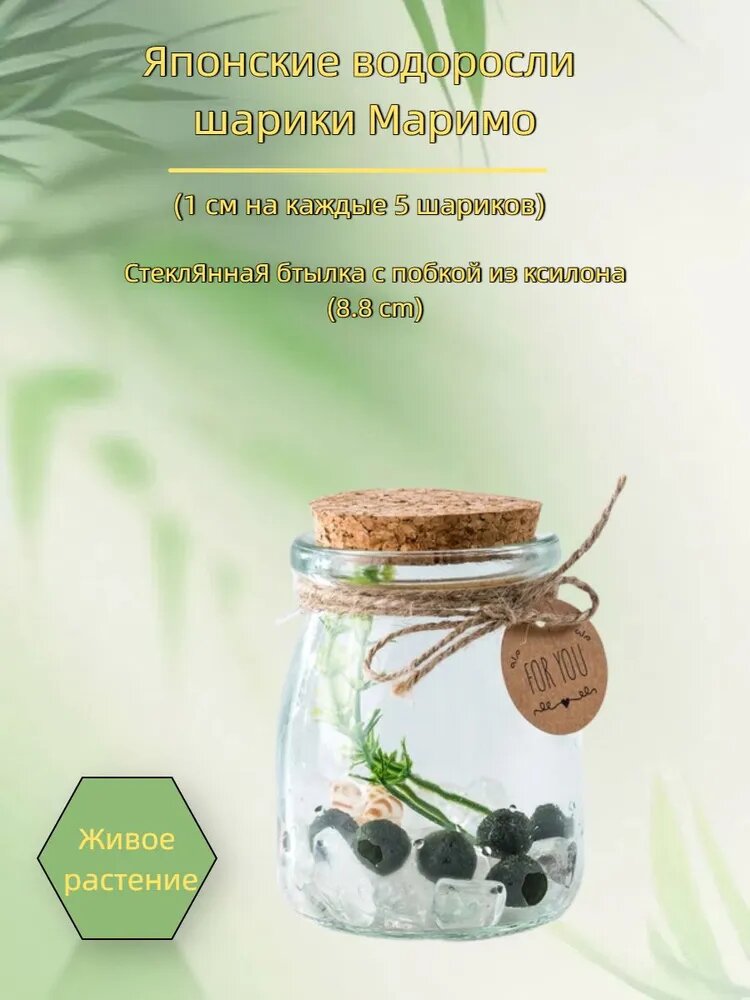 Японские водоросли / шарики Марио (1 см/5 шариков)