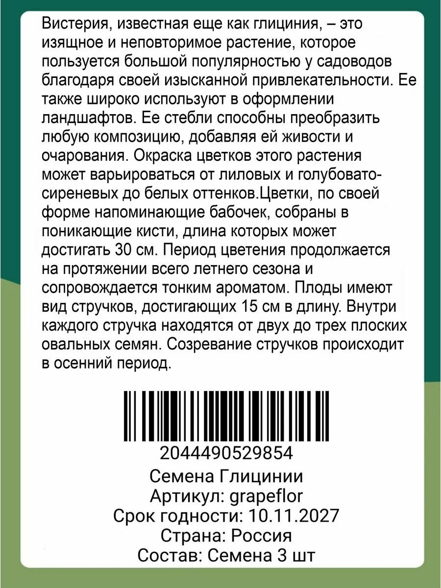 Семена Глицинии — фото 1