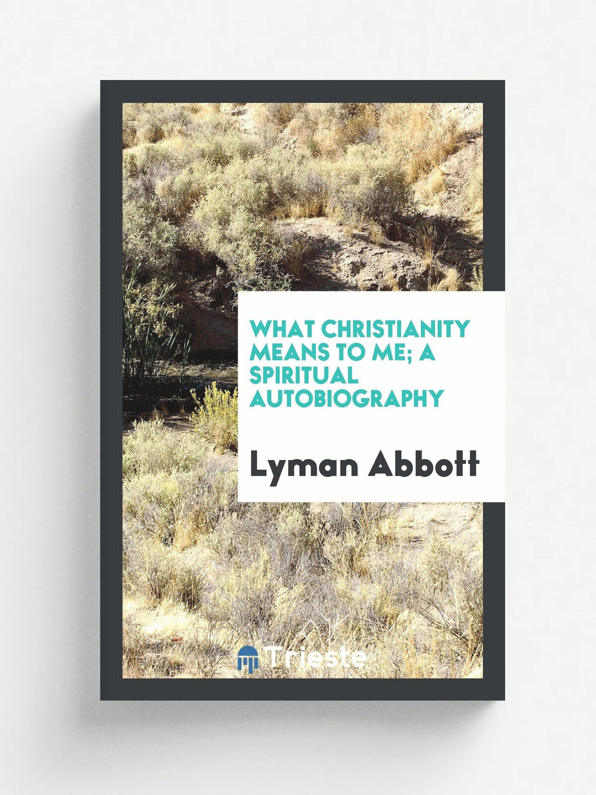What Christianity Means to Me; A Spiritual Autobiography