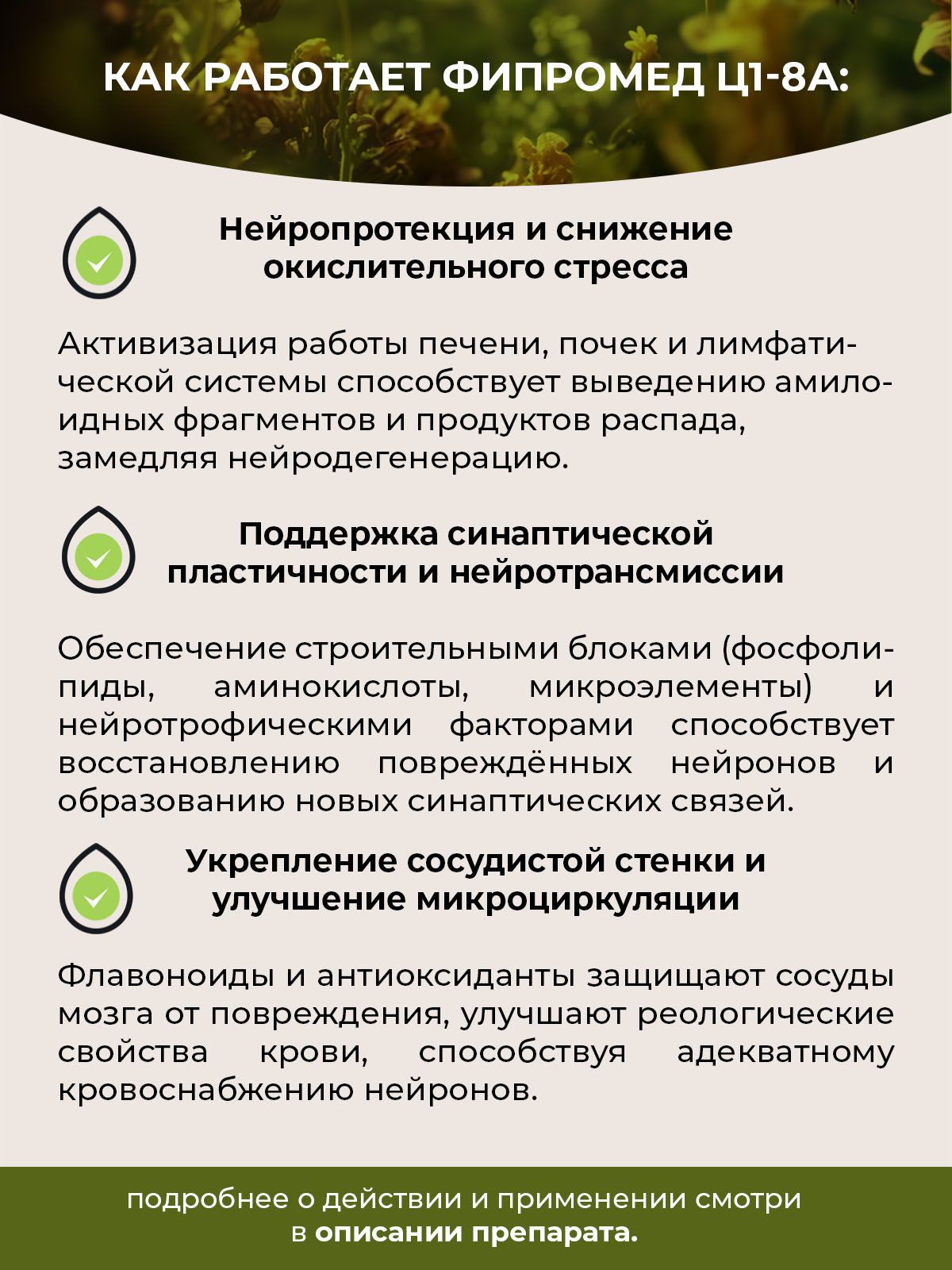 Фипромед Ц1-8А Болезнь Альцгеймера, 4 шт. по 50 мл. — фото 1