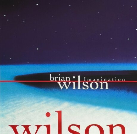 Виниловая пластинка Brian Wilson / Imagination (1LP)