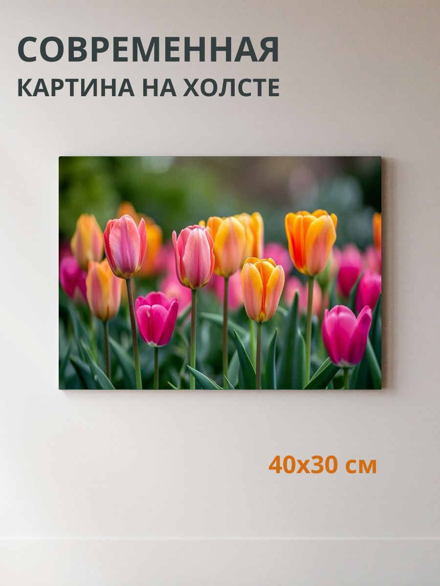 Картина на холсте Тюльпаны 40x30 см