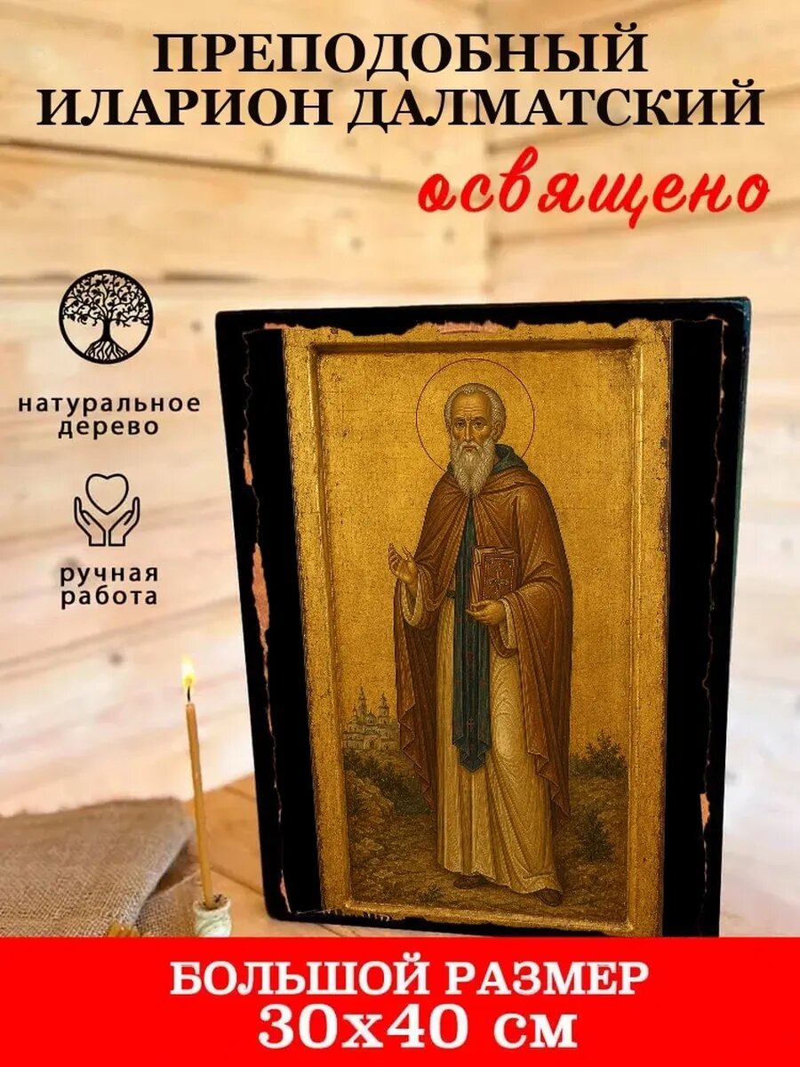 Икона Преподобный Иларион Далматский, на дереве, 30×40 см, освящённая