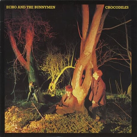 ECHO & THE BUNNYMEN Crocodiles (Компакт-диск)