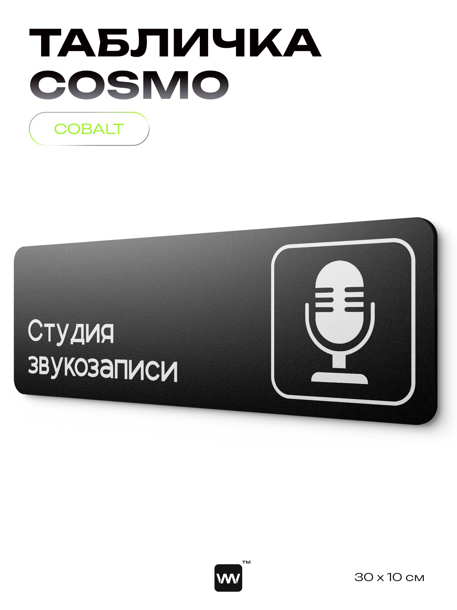Табличка Студия звукозаписи, 30х10 см, для офиса, кафе, магазина, паркинга, серия COSMO, Айдентика Технолоджи