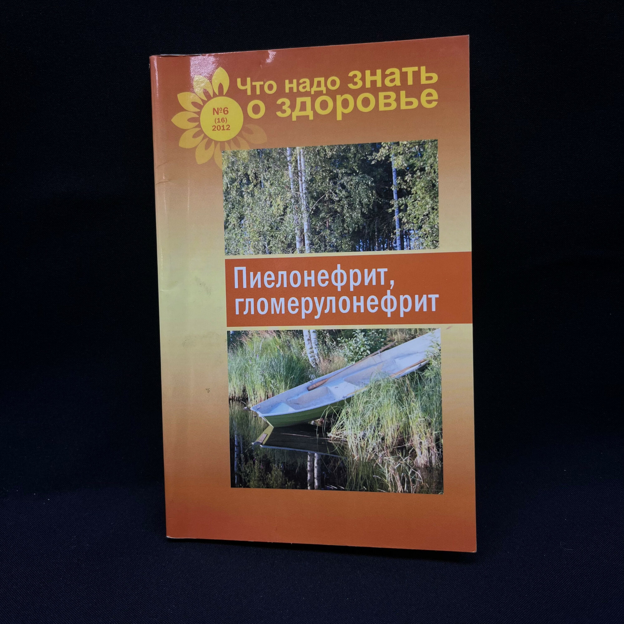 Пиелонефрит, гломерулонефрит. Книга о здоровье, медицинская литература