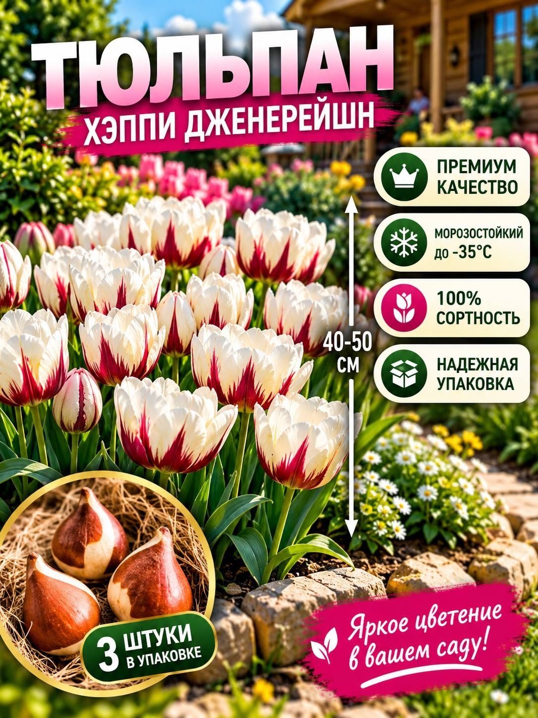 Луковицы тюльпана "Хэппи Дженерейшн" 3шт.